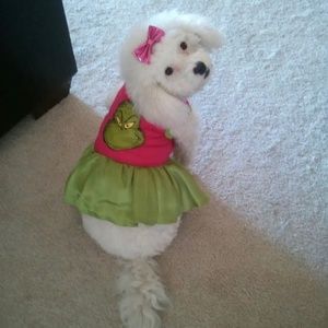 Meet your Posher, L.C.